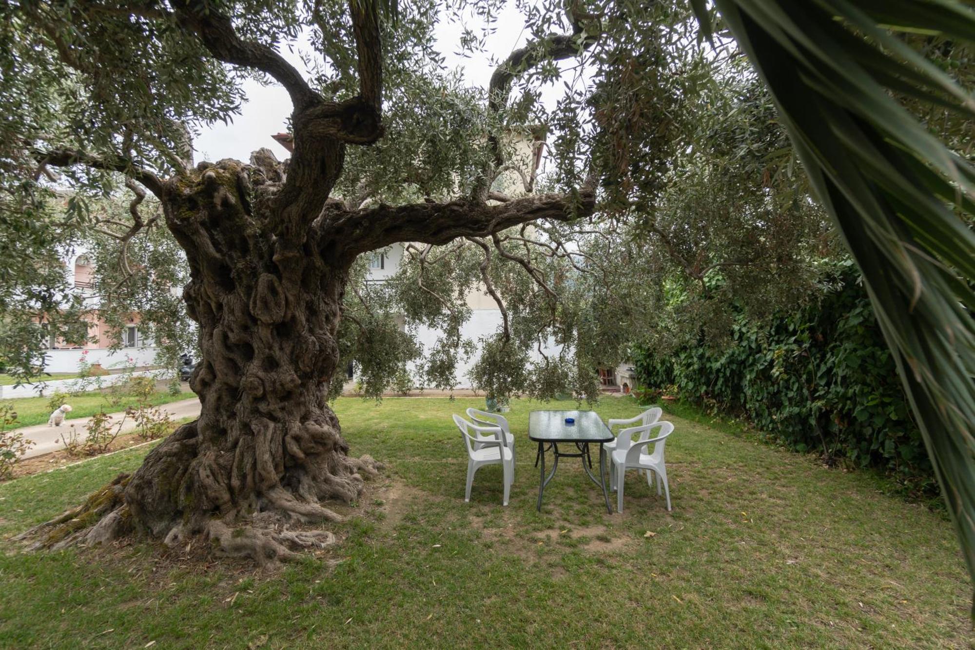 Studios Anais - Thasos מראה חיצוני תמונה